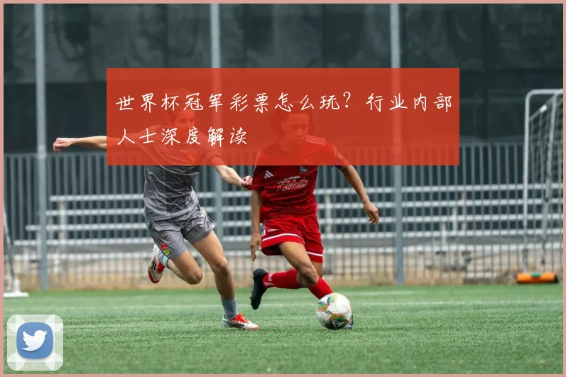 世界杯冠军彩票怎么玩？行业内部人士深度解读