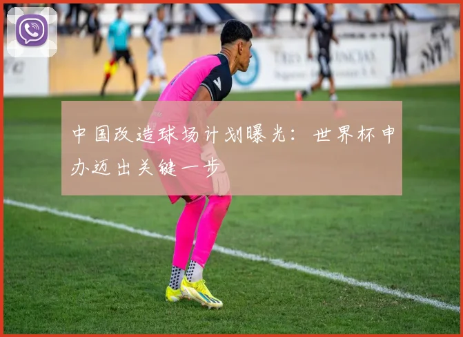 中国改造球场计划曝光：世界杯申办迈出关键一步