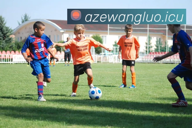 乐竞体育网页版登录界面服务体系